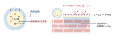 構造