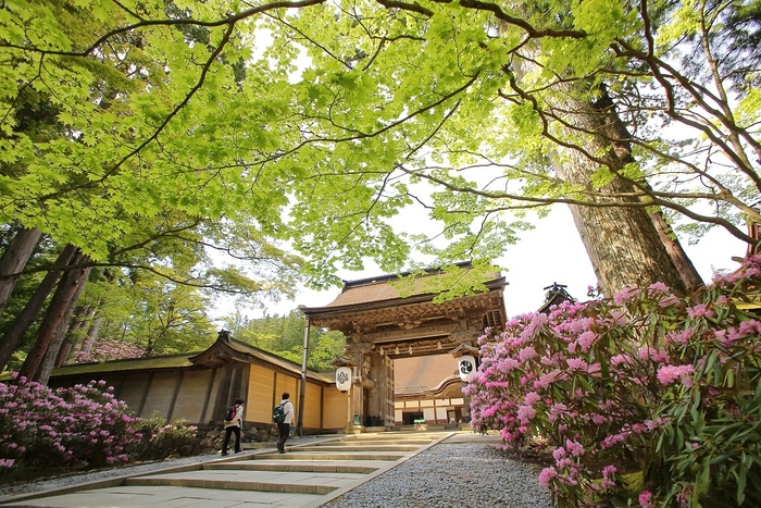 金剛峯寺 新緑 提供:(公社)和歌山県観光連盟