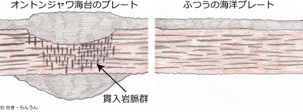 図1. 本研究でわかったオントンジャワ海台のプレートの模式図