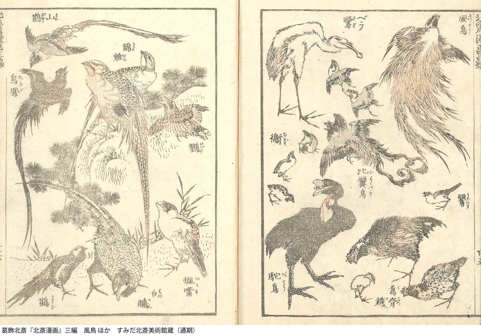 葛飾北斎『北斎漫画』三編 すみだ北斎美術館(通期)