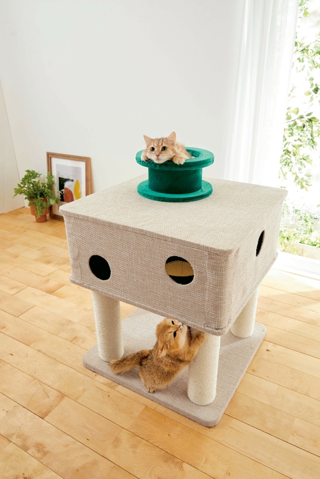 登って隠れて…まるで秘密基地!