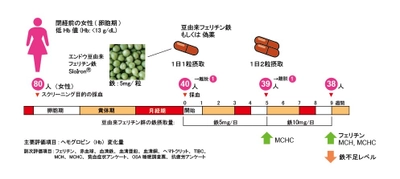 豆由来フェリチン鉄で隠れ貧血にも期待！！ 関西福祉科学大学と順天堂大学の研究グループが 豆由来フェリチン鉄による月経後の鉄不足状態からの 回復効果を臨床研究で証明、 ヘモグロビン値に限らず血中フェリチンも回復