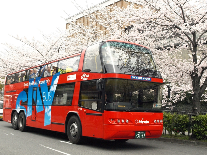 スカイバスツアー