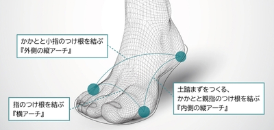 アーチサポート