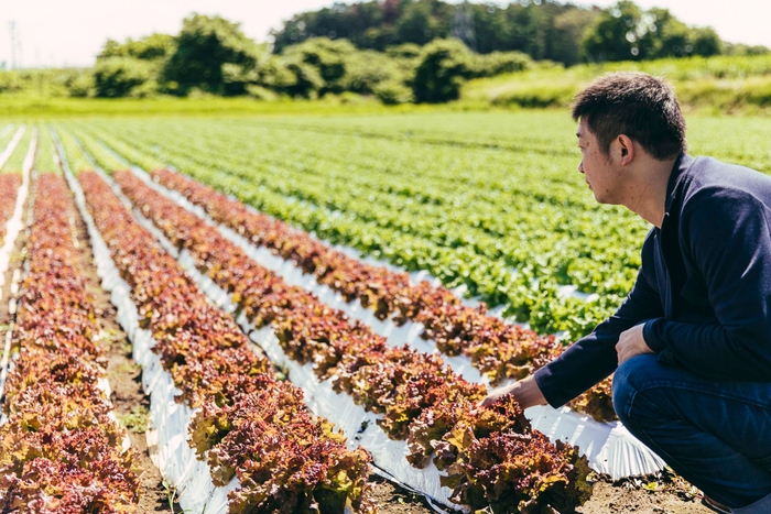 実際にシェフが現地に出向き、納得した食材のみで作る特別コースをご提供