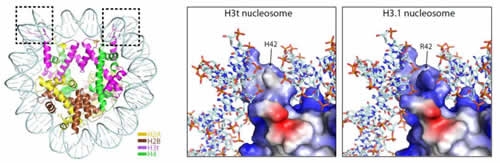 図4（文末にキャプション説明があります）