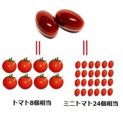 トマト8個、ミニトマト24個分