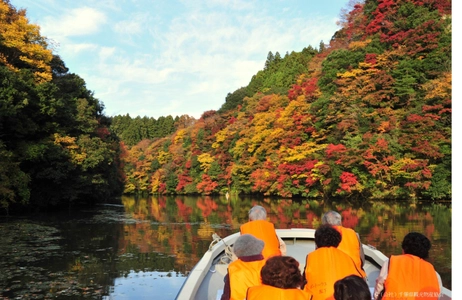 東京から90分の非日常体験　 晩秋の房総半島の紅葉とヒーリングスポットをご紹介！