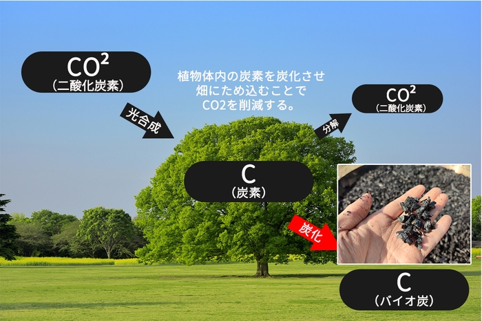 植物が体内にため込んだ炭素を、分解されにくい炭にして、畑に埋めてしまえば、半永久的に炭素を土の中に閉じ込めることができ、結果的に二酸化炭素を削減できるのです。