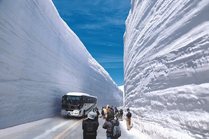 雪の壁の間を歩く「雪の大谷ウォーク」