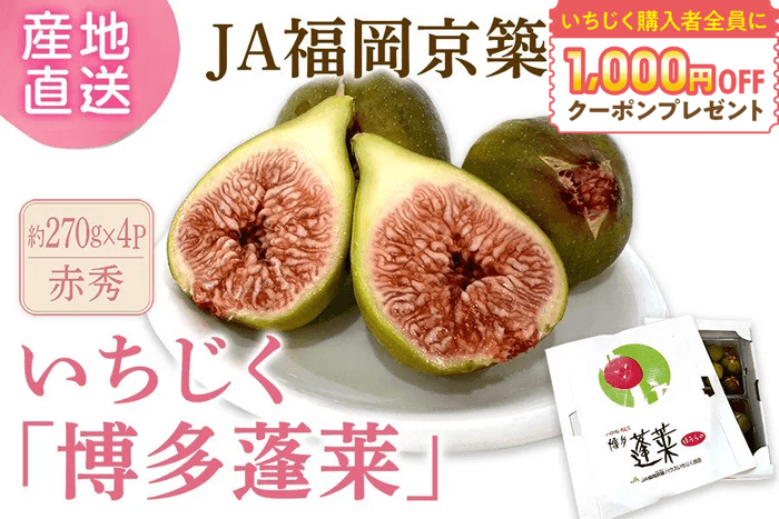 ハウスいちじく「博多蓬莱」約270g×4パック◎JA福岡京築
