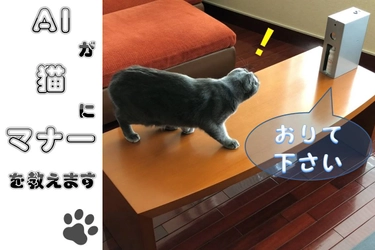 猫に優しくマナーを教える装置「マニャーdeシュ！」 クラウドファンディングを開始　 ～7月31日を期限として限定100台を販売～