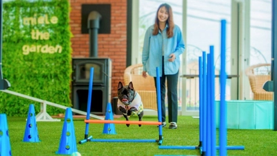 愛犬と過ごす新たな屋内空間が誕生！
「ミエレ ザ ガーデン」　7月18日（土）にリニューアルオープン