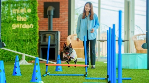 愛犬と過ごす新たな屋内空間が誕生！
「ミエレ ザ ガーデン」　7月18日（土）にリニューアルオープン