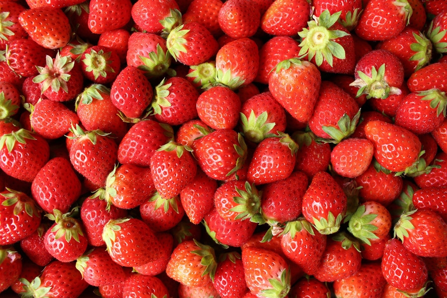 いちごのサイコロゲーム ※写真はイメージです