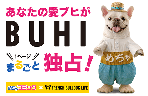 めちゃコミック(めちゃコミ)×「FRENCH BULLDOG LIFE」
