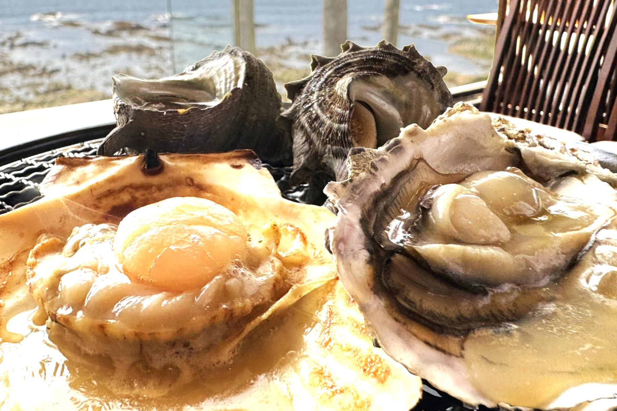 【期間限定】昨年テレビで紹介された人気企画が復活！全室オーシャンビューのリゾートで楽しむ海鮮網焼き