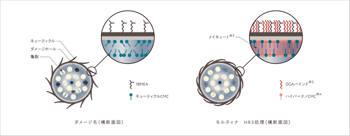 「メイキュート」「ハイパーナノCMC」「DGAバインド」