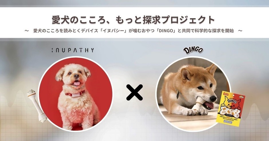愛犬のこころ・もっと探求プロジェクト開始!