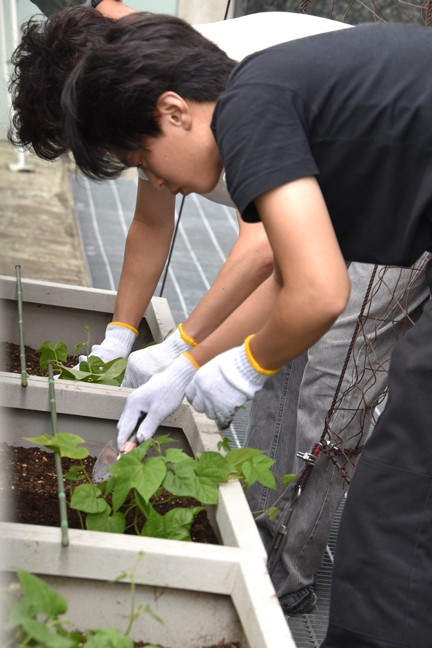 丁寧に植栽