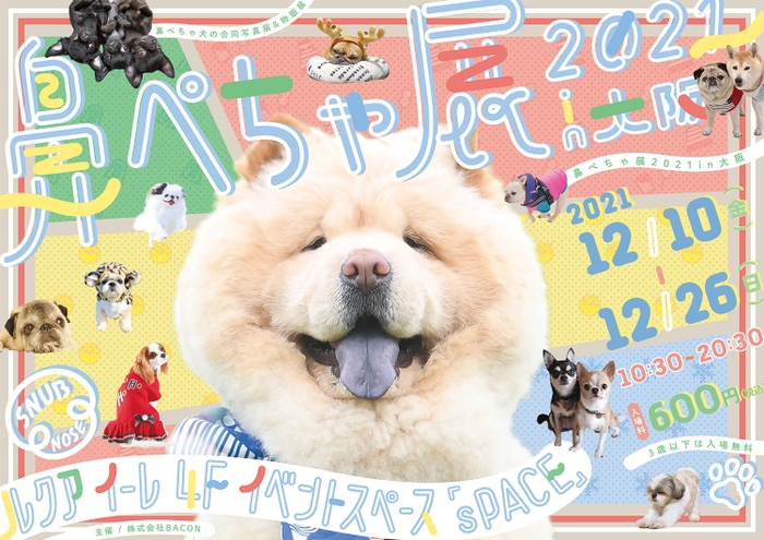 キービジュアル(横)