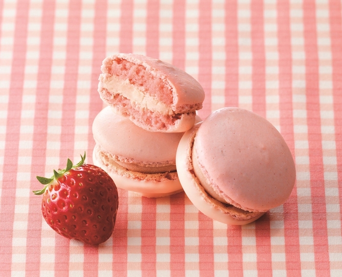 ストロベリー&フロマージュ マカロン