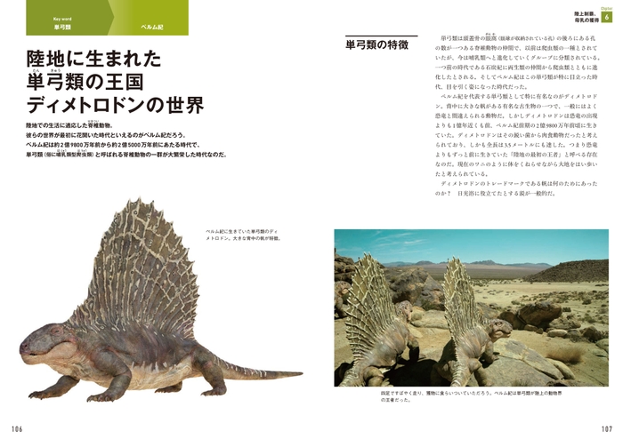 『ダーウィンが来た! 生命大進化』中面