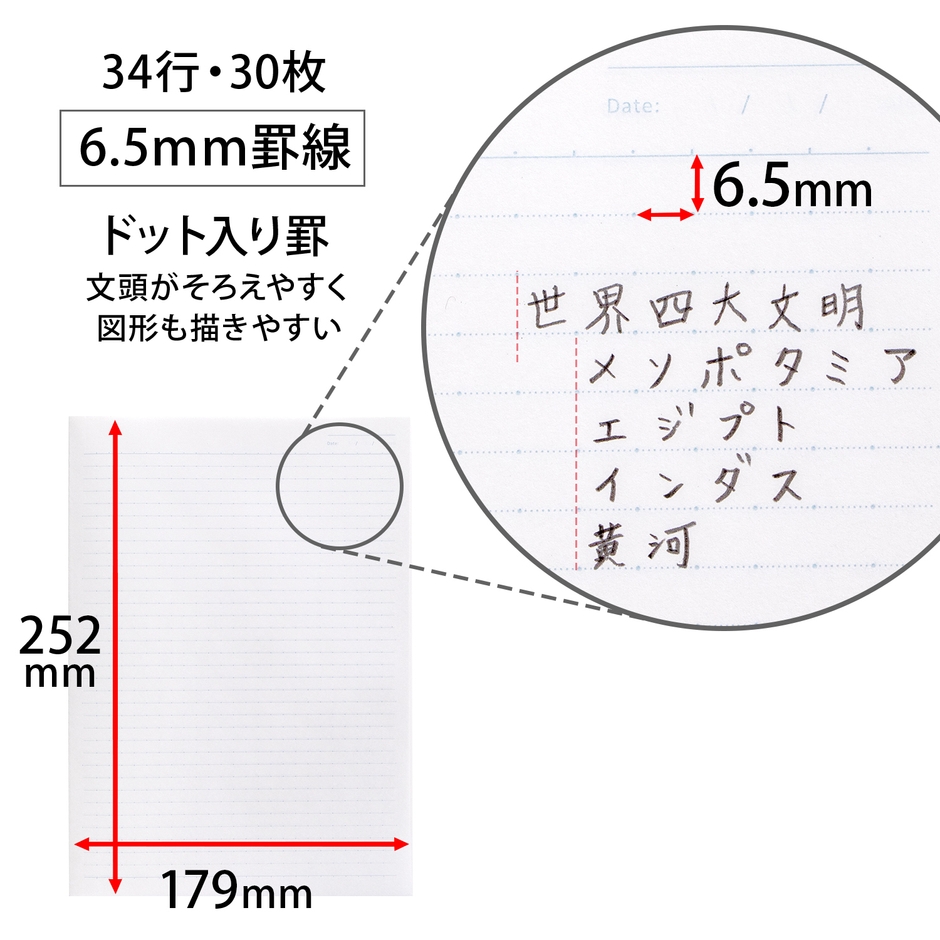 罫線特長(ドット入り6.5mm罫)