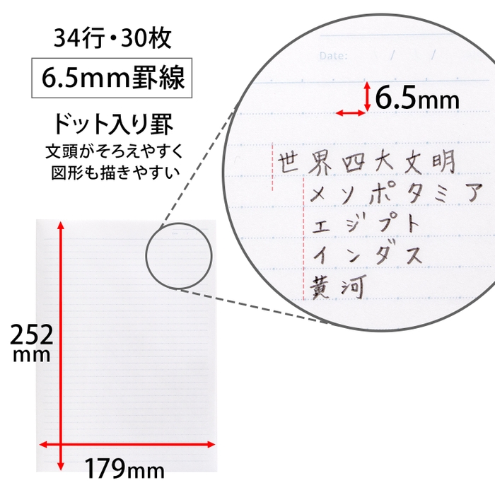 罫線特長(ドット入り6.5mm罫)