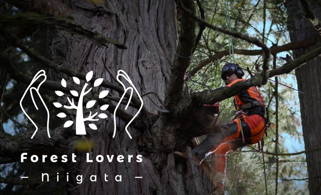 ◤全3部作完結◢　新潟県の森林紹介ムービー　“Forest Lovers NIIGATA”　第三弾が公開！