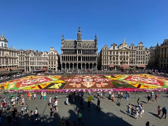 世界をキャンバスに、再び“花の絨毯”が街を彩る 「花絵師 藤川靖彦 花絵巡礼記／ベルギー・スペイン2022」　 2022年12月3日(土)～12月14日(水)開催！