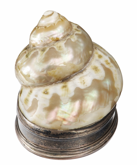 Photo.05 貝製銀台座嗅ぎたばこ入れ イギリス 18~19世紀