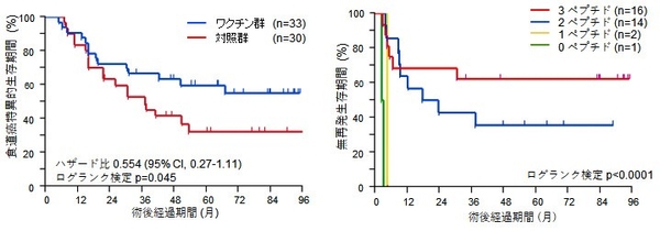 図1 ワクチン投与と不投与の予後比較(左)、図2 ワクチン群のCTLを誘導したペプチド数別無再発生存期間(右)