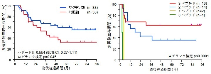 図1　ワクチン投与と不投与の予後比較（左）、図2　ワクチン群のCTLを誘導したペプチド数別無再発生存期間（右）