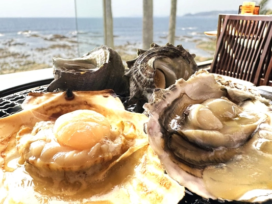 海の幸を心ゆくまで堪能する「牡蠣！帆立！さざえ！網焼き食べ放題付バイキングプラン」が販売中！ホテルグリーンプラザ鴨川