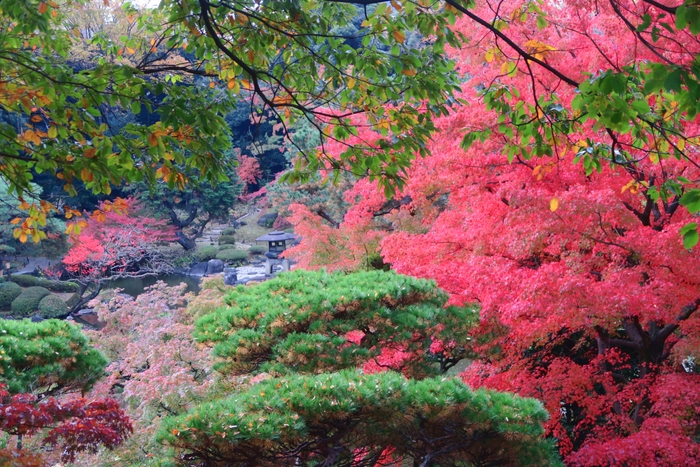 展望台からの眺め（11月20日撮影）