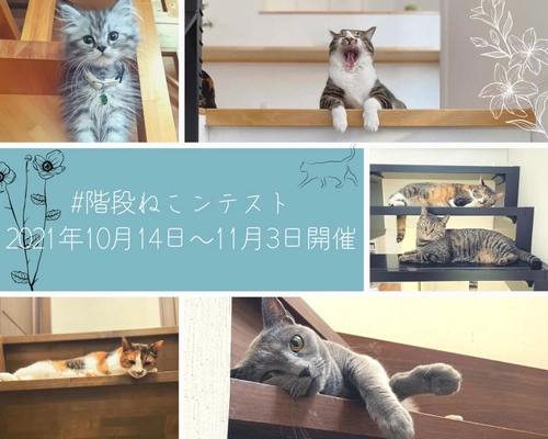 人だけでなく猫にも住みよい階段を　 階段専門メーカーがペット×住まいの質向上に向けて 「階段ねこンテスト」を開催