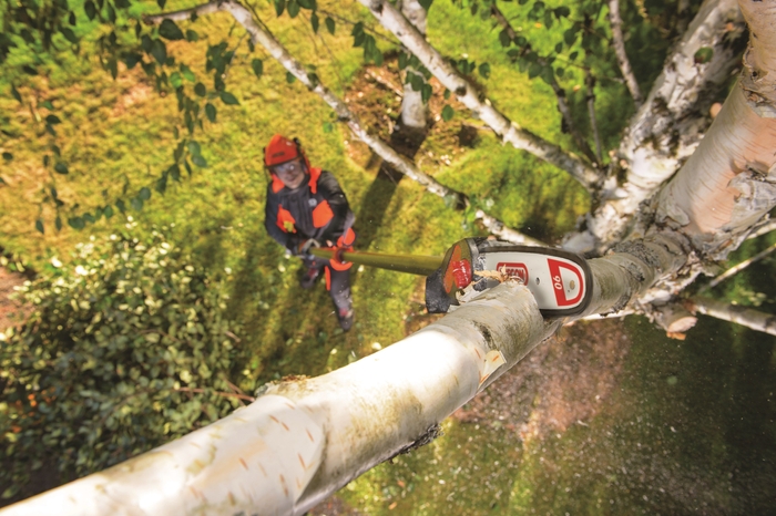 ポールソーPS250 作業