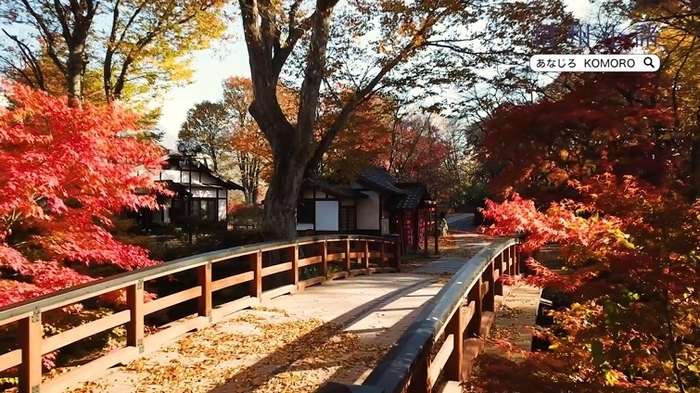 小諸城址 懐古園の燃える紅葉