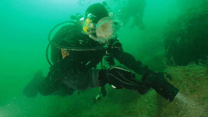 よゐこ 濱口さんが宮島の海に潜って生物を調査！