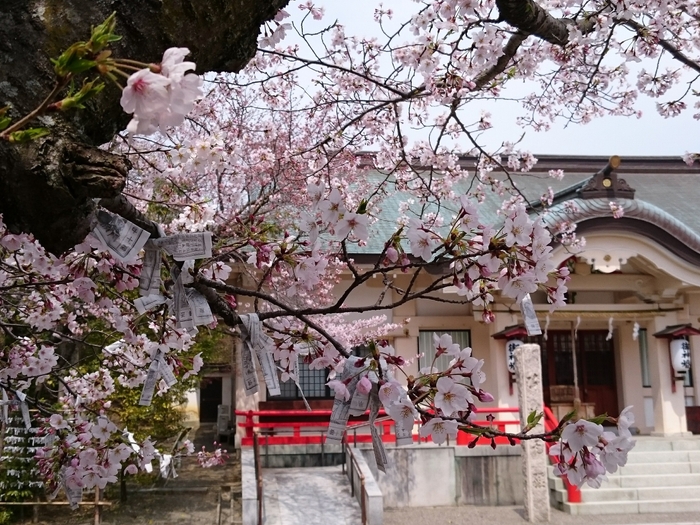 国史跡・海会寺跡