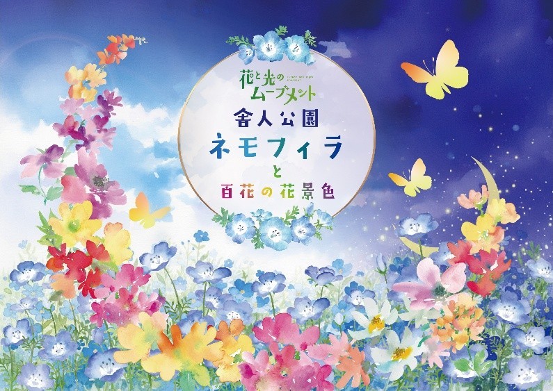 花と光のムーブメント 舎人公園
～ネモフィラと百花の花景色～
2026年4月10日（金）～4月26日（日）開催