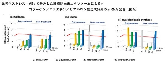図5