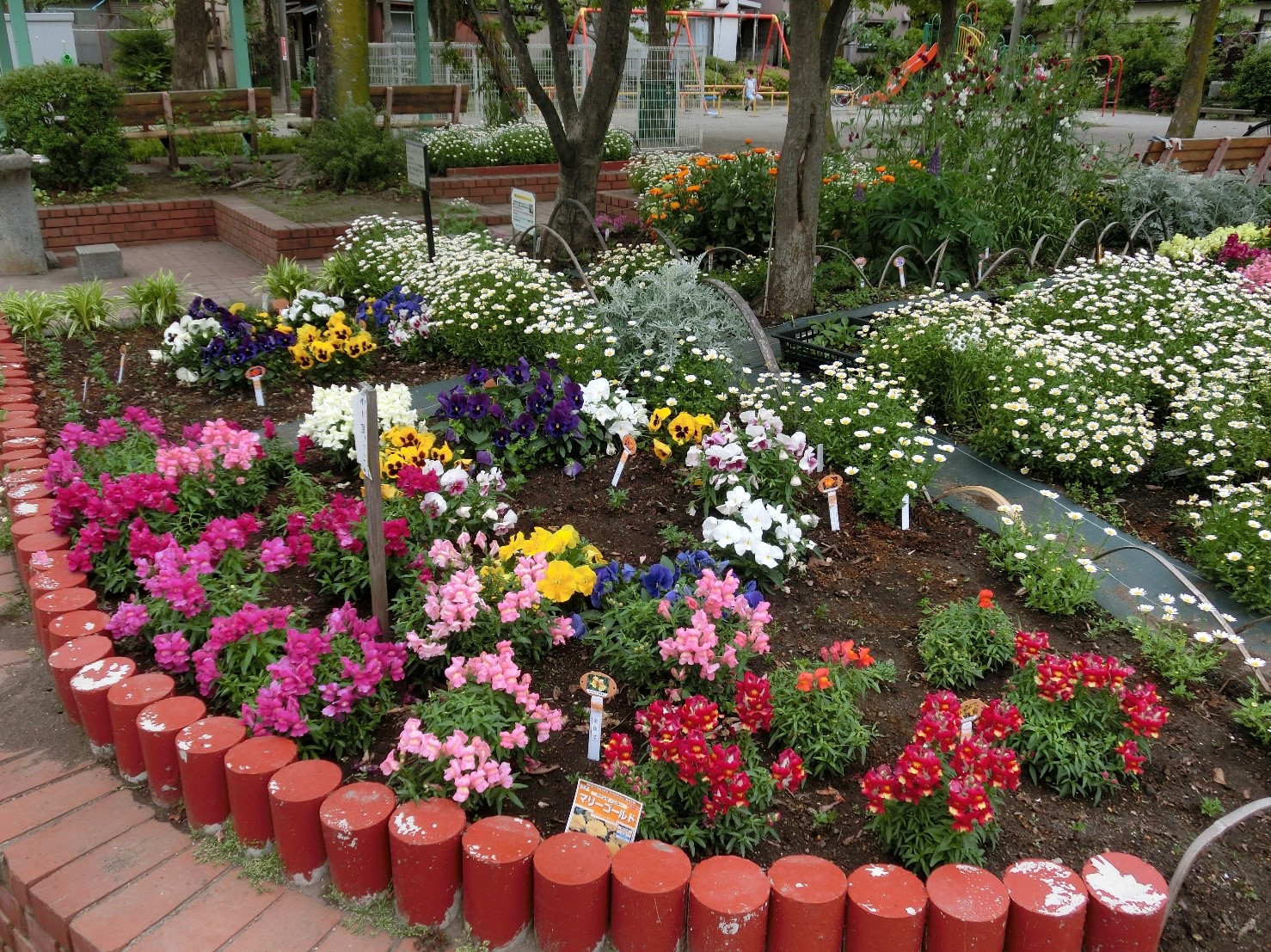 【7/21まで申請受付中！】東京都都市緑化基金