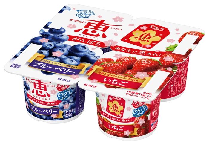 【受験生応援パッケージ】ナチュレ 恵 megumi ブルーベリー+いちご