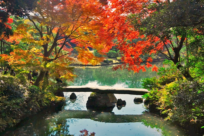 紅葉イメージ（六義園）