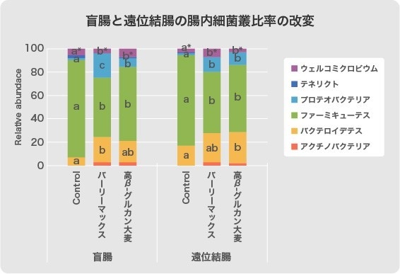 盲腸と遠位結腸の腸内細菌叢比率の改変