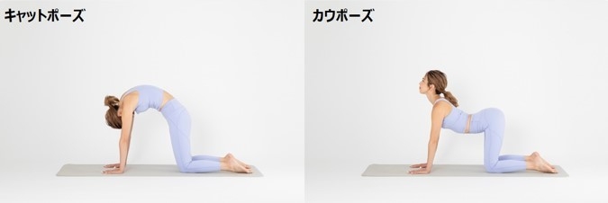 朝におすすめ キャットポーズ／カウポーズ