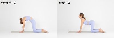 朝におすすめ キャットポーズ／カウポーズ
