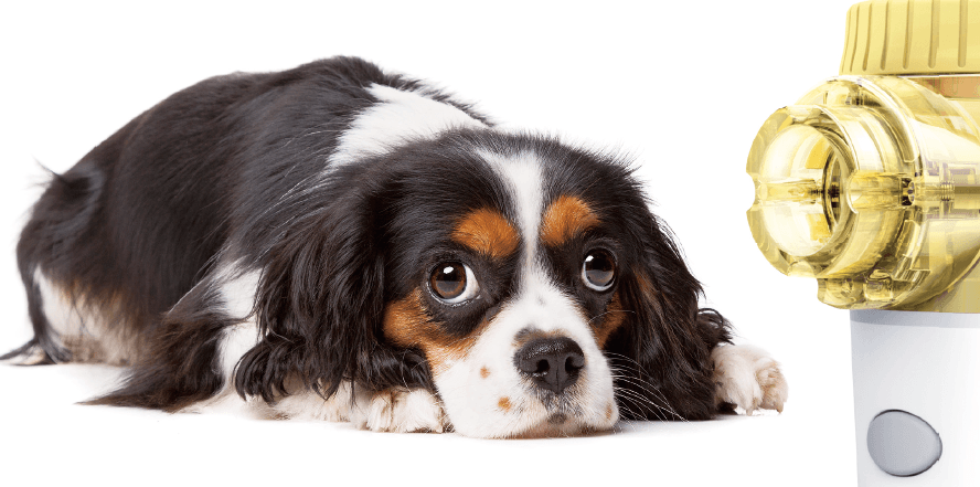 DELPet動物用超音波メッシュ型ネブライザー